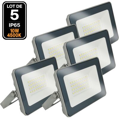 EUROPALAMP 5 Proiettori 10w Led Proline 4000k Ad Alta Luminosità EUROPALAMP 5 Proiettori 10w Led Proline 4000k Ad Alta Luminosità
