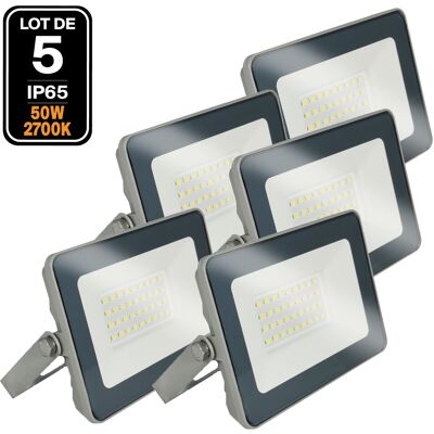 EUROPALAMP 5 Led 50w Proline Proiettori Bianco Caldo 3000k Ad Alta Luminosità EUROPALAMP 5 Led 50w Proline Proiettori Bianco Caldo 3000k Ad Alta Luminosità