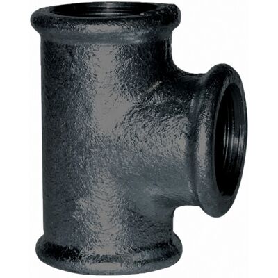 CODITAL T Nero Uguale 66x76 Femmina CODITAL T Nero Uguale 66x76 Femmina