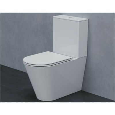 AZZURRA Sanitari Forma Monoblocco Senza Brida Con Sedile Sottile AZZURRA Sanitari Forma Monoblocco Senza Brida Con Sedile Sottile