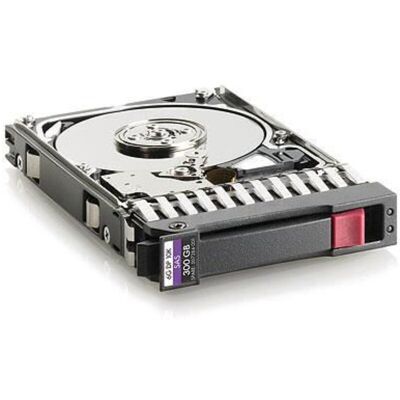 Hewlett Packard Enterprise EG000300JWEBF 300GB 10K RPM Disco Rigido SAS - Storage Aziendale Hewlett Packard Enterprise EG000300JWEBF 300GB 10K RPM Disco Rigido SAS - Storage Aziendale