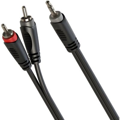 OEM Cavo Audio Jack Stereo Da 3,5 Mm / 2 X Rca 6 M Roxtone Sayc150l6 OEM Cavo Audio Jack Stereo Da 3,5 Mm / 2 X Rca 6 M Roxtone Sayc150l6