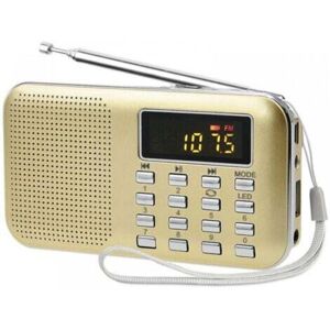 OEM Radio Portatile, Radio Fm/am, Alimentazione A Batteria E Di Rete, Lettore Mp3, Altoparlante, Supporto Per Scheda Tf/usb, Torcia, Adatta (oro) OEM Radio Portatile, Radio Fm/am, Alimentazione A Batteria E Di Rete, Lettore Mp3, Altoparlante, Supporto Per Scheda Tf/usb, Torcia, Adatta (oro)