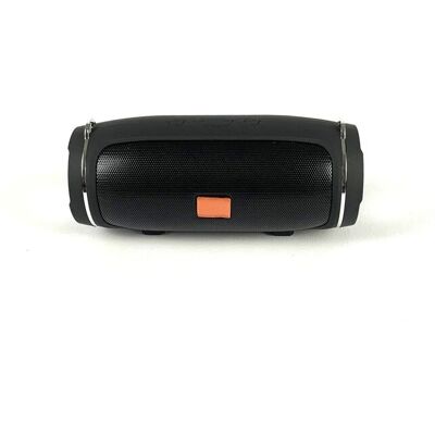 Altoparlante Bluetooth BIGBUY TECH - Portatile Stereo Mini - Altoparlante Bluetooth Altoparlante Bluetooth BIGBUY TECH - Portatile Stereo Mini - Altoparlante Bluetooth
