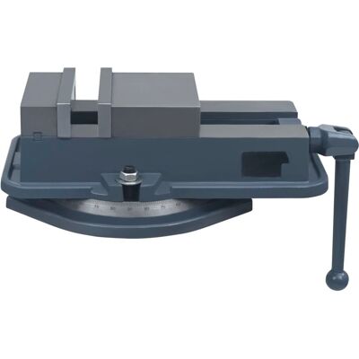 vidaXL Torno con piattaforma rotante 360° Ghisa 160mm - Torno rotante vidaXL Torno con piattaforma rotante 360° Ghisa 160mm - Torno rotante