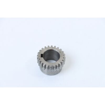 ELMAG Ruota Dentata Con 24 Denti ELMAG Ruota Dentata Con 24 Denti