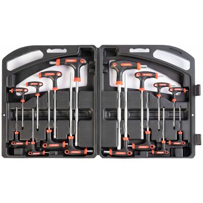 AMC - Set Di Chiavini Esagonali E Torx Da 16 Pz In Acciaio Vanadio Con Custodia Rigida AMC - Set Di Chiavini Esagonali E Torx Da 16 Pz In Acciaio Vanadio Con Custodia Rigida