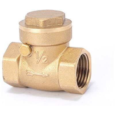 FORTUNEVILLE Valvola Di Non Ritorno Per Rubinetto Collettore D'Acqua (1 Pezzo), Raccordo Girevole Femmina Dn15 1/2, In Ottone, Per Impedire Il Riflusso Dell'acqua, Colore Oro. FORTUNEVILLE Valvola Di Non Ritorno Per Rubinetto Collettore D'Acqua (1 Pezzo), Raccordo Girevole Femmina Dn15 1/2, In Ottone, Per Impedire Il Riflusso Dell'acqua, Colore Oro.