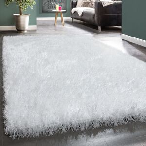 PACO HOME Tappeto Salotto Moderno Soggiorno Pelo Lungo Monocolore Peloso Moderno Bianco 120x170 Cm PACO HOME Tappeto Salotto Moderno Soggiorno Pelo Lungo Monocolore Peloso Moderno Bianco 120x170 Cm