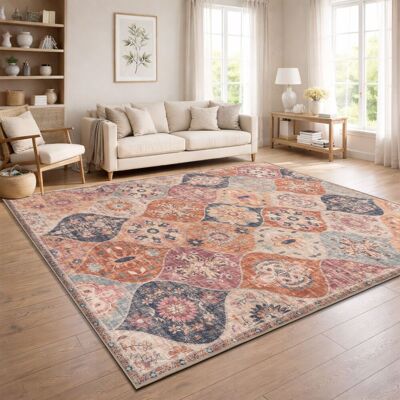 PACO HOME Tappeto Vintage Boho Moderno Soggiorno Pelo Corto Lavabile Colorato 200x280 Cm PACO HOME Tappeto Vintage Boho Moderno Soggiorno Pelo Corto Lavabile Colorato 200x280 Cm