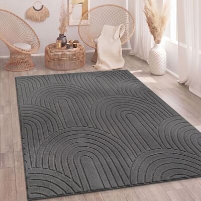 PACO HOME Tappeto Soggiorno Camera Da Letto Pile Alto Morbido Lavabile Uni 3d Ottica Antracite 160x220 Cm PACO HOME Tappeto Soggiorno Camera Da Letto Pile Alto Morbido Lavabile Uni 3d Ottica Antracite 160x220 Cm
