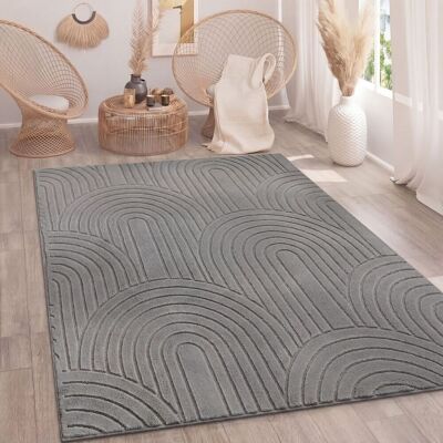 PACO HOME Tappeto Soggiorno Camera Da Letto Pile Alto Morbido Lavabile Uni 3d Ottica Grigio 200x280 Cm PACO HOME Tappeto Soggiorno Camera Da Letto Pile Alto Morbido Lavabile Uni 3d Ottica Grigio 200x280 Cm