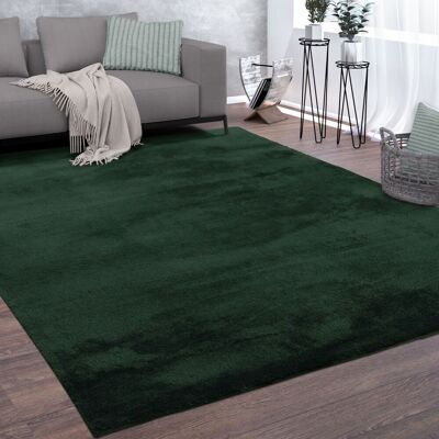 Tappeto Verde Pelo Corto Lavabile Moderno - PACO HOME Tappeto Verde Pelo Corto Lavabile Moderno - PACO HOME