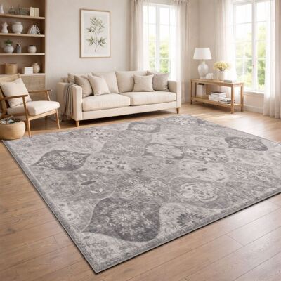 PACO HOME Tappeto Vintage Boho Moderno Soggiorno Pelo Corto Lavabile Grigio Grigio 160x220 Cm PACO HOME Tappeto Vintage Boho Moderno Soggiorno Pelo Corto Lavabile Grigio Grigio 160x220 Cm