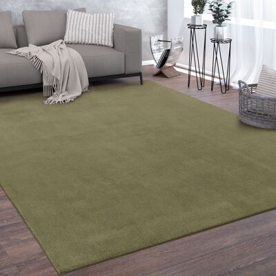 PACO HOME Tappeto Salotto Pelo Corto Lavabile Monocolore Moderno Morbido Verde 120x160 Cm PACO HOME Tappeto Salotto Pelo Corto Lavabile Monocolore Moderno Morbido Verde 120x160 Cm