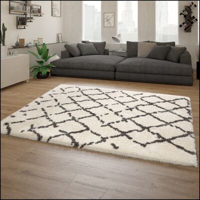 Tappeto Flokati Bianco Grigio Alto Pelo - Stile Moderno e Morbido Tappeto Flokati Bianco Grigio Alto Pelo - Stile Moderno e Morbido
