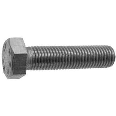 VDS Bullone T.e. Inox 6x10 VDS Bullone T.e. Inox 6x10
