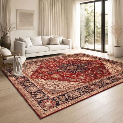 PACO HOME Tappeto Soggiorno Orientale Vintage Lavabile Pelo Corto Antiscivolo Rosso Beige Colorato Oro 160x220 Cm PACO HOME Tappeto Soggiorno Orientale Vintage Lavabile Pelo Corto Antiscivolo Rosso Beige Colorato Oro 160x220 Cm