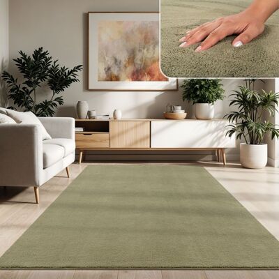 PACO HOME Tappeto Moderno Soggiorno A Pelo Corto Lavabile Morbido Effetto Pelliccia 120x160 Cm, Verde Chiaro PACO HOME Tappeto Moderno Soggiorno A Pelo Corto Lavabile Morbido Effetto Pelliccia 120x160 Cm, Verde Chiaro