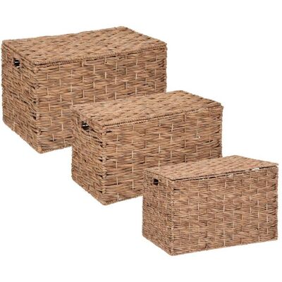 ATMOSPHERA - Set Di 3 Tronchi Di Giacinto Ori L64 70 76cm Créateur D'Intérieur ATMOSPHERA - Set Di 3 Tronchi Di Giacinto Ori L64 70 76cm Créateur D'Intérieur