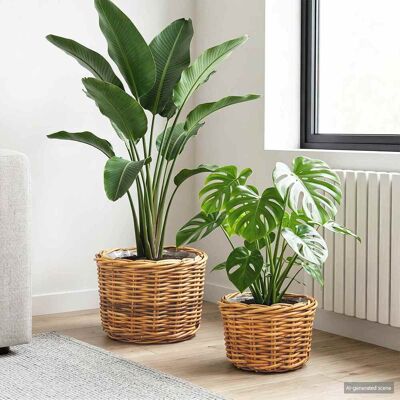 VIDAXL Cestino Per Piante Con Archiviazione 2 Pcs Marrone Rattan VIDAXL Cestino Per Piante Con Archiviazione 2 Pcs Marrone Rattan