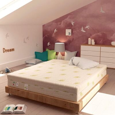 BALDIFLEX - Materasso Memory Dream Soft Singolo Con Rivestimento In Aloe Vera, Memory 7 Cm, Misura 80x190 Cm BALDIFLEX - Materasso Memory Dream Soft Singolo Con Rivestimento In Aloe Vera, Memory 7 Cm, Misura 80x190 Cm