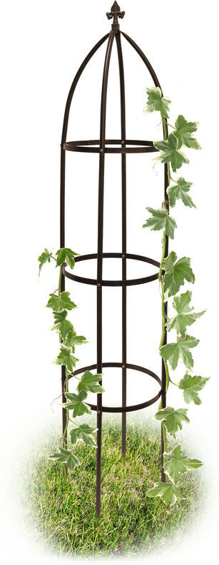 RELAXDAYS Struttura per Piante Rampicanti Ad Arco, Traliccio Circolare 190 cm, Accessori Giardinaggio, Marrone -