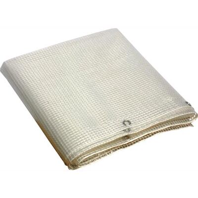 PAPILLON Teloni Telone Occhiellato Retinato Pvc Mt. 3.50x3.0 Bianco Trasparente PAPILLON Teloni Telone Occhiellato Retinato Pvc Mt. 3.50x3.0 Bianco Trasparente