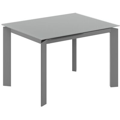 STONES Tavolo Allungabile Frame Con Top In Vetro Grigio E Struttura In Metallo Grigio Opaco - Dimensioni 120-170x80x75 Cm - Design Moderno STONES Tavolo Allungabile Frame Con Top In Vetro Grigio E Struttura In Metallo Grigio Opaco - Dimensioni 120-170x80x75 Cm - Design Moderno
