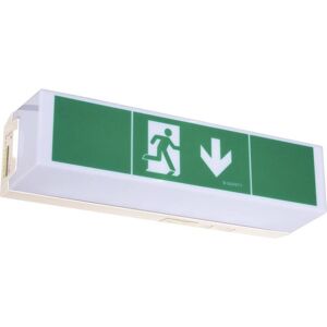 B-SAFETY Br 565 030 Indicazione Via Di Fuga Illuminata Montaggio A Soffitto, Montaggio A Parete - B-SAFETY Br 565 030 Indicazione Via Di Fuga Illuminata Montaggio A Soffitto, Montaggio A Parete -