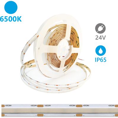 ALCAPOWER Striscia Led Sob Serie Ip65 5 Metri 6500k 24v 15w/m 2100lm/m Cri 90 Alta Efficienza Luminosa Professionale Installazioni Interne Ed Esterne ALCAPOWER Striscia Led Sob Serie Ip65 5 Metri 6500k 24v 15w/m 2100lm/m Cri 90 Alta Efficienza Luminosa Professionale Installazioni Interne Ed Esterne