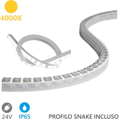 ALCAPOWER Wall Washer Striscia Led 5m 24v 4000k 20w/m 1650lm/m Ip65 In Silicone, Cri 90, Alta Efficienza Luminosa Per Illuminazione Architetturale ALCAPOWER Wall Washer Striscia Led 5m 24v 4000k 20w/m 1650lm/m Ip65 In Silicone, Cri 90, Alta Efficienza Luminosa Per Illuminazione Architetturale