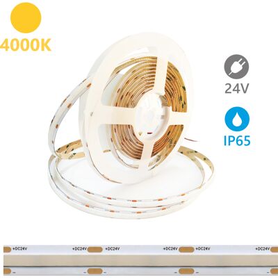 ALCAPOWER Striscia Led Sob Serie Ip65 5m 4000k 24v 15w/m 2100lm/m Alta Efficienza Cri 90 Led Strip Professionale Per Illuminazione Interna Ed Esterna ALCAPOWER Striscia Led Sob Serie Ip65 5m 4000k 24v 15w/m 2100lm/m Alta Efficienza Cri 90 Led Strip Professionale Per Illuminazione Interna Ed Esterna