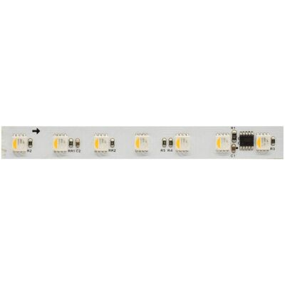 BENEITO FAURE Striscia Led Beneito & Faure Fine Dmx5 Rgb+3000k 5m 24v 17w/m 70led/m Ip67 - Controllo Pixel Per Pixel Dmx - Alta Definizione BENEITO FAURE Striscia Led Beneito & Faure Fine Dmx5 Rgb+3000k 5m 24v 17w/m 70led/m Ip67 - Controllo Pixel Per Pixel Dmx - Alta Definizione