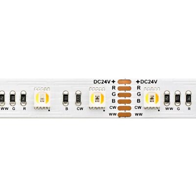 Sigor striscia LED RGB/TW di 5m - Striscia LED Sigor striscia LED RGB/TW di 5m - Striscia LED