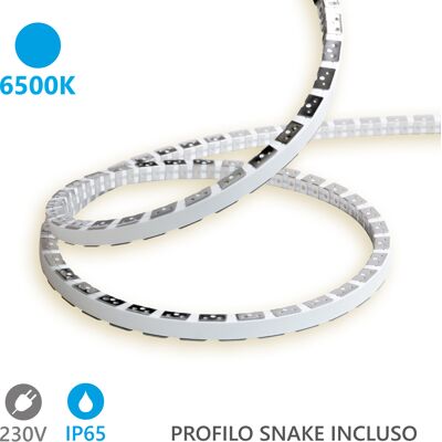 ALCAPOWER Striscia Led Snake Flex 5m Ip65 12w/m 6500k 120 Led/m, Alimentazione 230v Ac, Protezione In Silicone, Flessibile Ad Alta Resistenza ALCAPOWER Striscia Led Snake Flex 5m Ip65 12w/m 6500k 120 Led/m, Alimentazione 230v Ac, Protezione In Silicone, Flessibile Ad Alta Resistenza