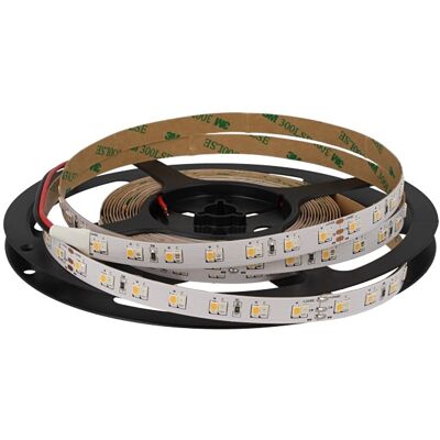 LEDLUX 24v Bobina Striscia Led Rossa Per Macelleria Banco Carni 20w/m 700 Smd 2835 5 Metri LEDLUX 24v Bobina Striscia Led Rossa Per Macelleria Banco Carni 20w/m 700 Smd 2835 5 Metri