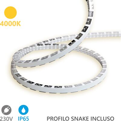 ALCAPOWER Striscia Led Snake Flex 5m Ip65 230v 12w/m 4000k Luce Naturale 120 Led/m Flessibile Silicone Protezione Umidità Alta Efficienza ALCAPOWER Striscia Led Snake Flex 5m Ip65 230v 12w/m 4000k Luce Naturale 120 Led/m Flessibile Silicone Protezione Umidità Alta Efficienza