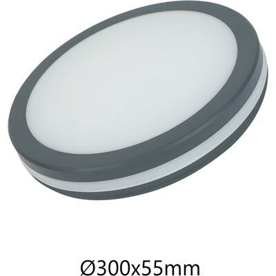 ALCAPOWER Plafoniera Led Rotonda 24w Ip54 Ik08 Cct Selezionabile 3000k-4000k-6500k 2400lm Grigio, Lampada Da Soffitto Ad Alta Efficienza Energetica ALCAPOWER Plafoniera Led Rotonda 24w Ip54 Ik08 Cct Selezionabile 3000k-4000k-6500k 2400lm Grigio, Lampada Da Soffitto Ad Alta Efficienza Energetica