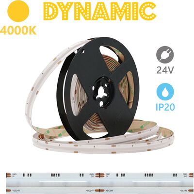 ALCAPOWER Striscia Led Cob Dynamic 5 Metri 24v 13w/m 4000k Ip20 Cri90: Illuminazione Lineare Professionale Ad Alta Resa Cromatica Per Interni ALCAPOWER Striscia Led Cob Dynamic 5 Metri 24v 13w/m 4000k Ip20 Cri90: Illuminazione Lineare Professionale Ad Alta Resa Cromatica Per Interni