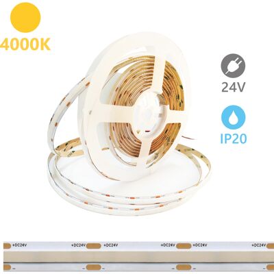 ALCAPOWER Striscia Led Serie Sob 5 Metri 4000k 15w/m 2100lm/m Cri90 24v Ip20 - Illuminazione Professionale Ad Alta Efficienza Per Interni ALCAPOWER Striscia Led Serie Sob 5 Metri 4000k 15w/m 2100lm/m Cri90 24v Ip20 - Illuminazione Professionale Ad Alta Efficienza Per Interni
