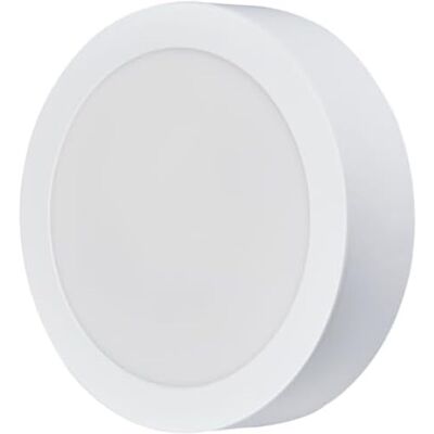 SILVER ELECTRONICS Lampada Downlight Multiplex 24w Ip54 SILVER ELECTRONICS Lampada Downlight Multiplex 24w Ip54