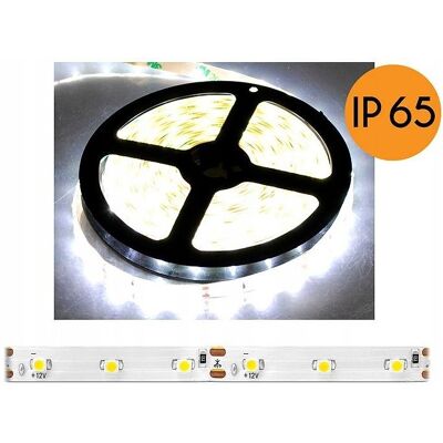ECOLIGHT Striscia Led Smd2835 24w 5m Impermeabile ECOLIGHT Striscia Led Smd2835 24w 5m Impermeabile
