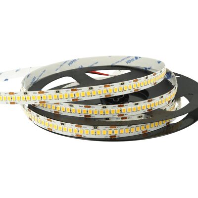 LEDLUX 24v Bobina Led 20w/m Bianco Freddo 6000k 1200 Smd 2835 5 Metri Ip20 LEDLUX 24v Bobina Led 20w/m Bianco Freddo 6000k 1200 Smd 2835 5 Metri Ip20
