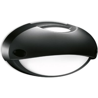 LOMBARDO Plafoniera Da Parete Airy Top Ovale 300, Attacco E27, Colore Decorazione Nero, Lampadina Non Inclusa, Lom Lb82322 LOMBARDO Plafoniera Da Parete Airy Top Ovale 300, Attacco E27, Colore Decorazione Nero, Lampadina Non Inclusa, Lom Lb82322