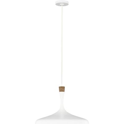 Elstead Lighting Darwin 1 Luce Sospesa - Bianco Opaco - Rustico Urbano Elstead Lighting Darwin 1 Luce Sospesa - Bianco Opaco - Rustico Urbano