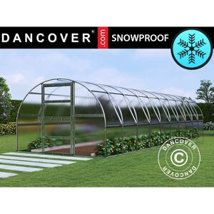 DANCOVER Serra In Policarbonato Titan Arch 280, 30m², 3x10m, Argento DANCOVER Serra In Policarbonato Titan Arch 280, 30m², 3x10m, Argento