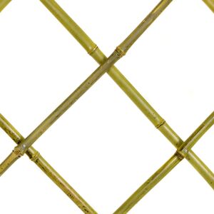 STI Traliccio In Bamboo Naturale Grigliato Estensibile 150x180 Cm Per Piante E Fiori STI Traliccio In Bamboo Naturale Grigliato Estensibile 150x180 Cm Per Piante E Fiori