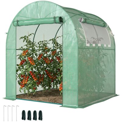 OEM Serra Da Giardino A Tunnel Con Porte E Finestre Avvolgibili In Pe Verde, 180x180x200cm OEM Serra Da Giardino A Tunnel Con Porte E Finestre Avvolgibili In Pe Verde, 180x180x200cm