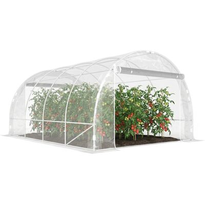 OEM Serra A Tunnel 3x4x2 M Con Porte Avvolgibili, Telaio In Acciaio E Copertura In Pe Anti-uv, Trasparente OEM Serra A Tunnel 3x4x2 M Con Porte Avvolgibili, Telaio In Acciaio E Copertura In Pe Anti-uv, Trasparente